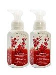 Japanese Cherry Blossom Hand Soap (2-Pack)