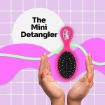 Mini Detangler Hair Brush - Pain-Free for All Hair Types