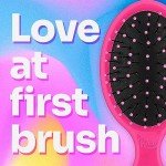 Mini Detangler Hair Brush - Pain-Free for All Hair Types