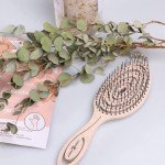 Chiara Ambra Detangling Hair Brush for All Hair Types