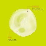 Watermelon & Aloe Gel Facial Mask - 6 fl. oz