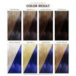 Vegan Blue Semi-Permanent Hair Color – 4 oz