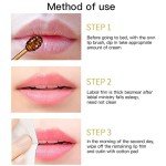 Honey Lip Balm with Vitamin E - Moisturizing Care