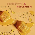 SheaMoisture Hydrating Shampoo for Dry Hair, 13 oz