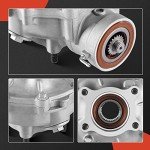 Rear Differential Assembly for Honda Fourtrax Rancher