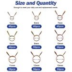 310Pcs Spring Clip Clamp Assortment Kit for ATVs