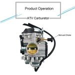 Yamaha Wolverine & Big Bear Carburetor Replacement
