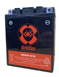ADX14AH-BS - AGM Replacement Power Sport Battery