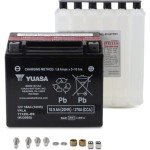 Yuasa YUAM320BS YTX20L-BS Maintenance Free AGM Battery with Acid pack