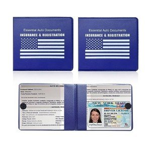 Ziciner Auto Document Holder 2-Pack Organizer