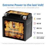 Pirate Battery YTX5L-BS Maintenance Free Replacement Battery compatible with ATV, Motorcycle, and Scooter: 12 Volts, 5 Amps, 4Ah, Nut and Bolt (T3) Terminal
