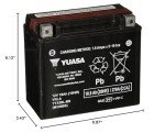 Yuasa YUAM320BS YTX20L-BS Maintenance Free AGM Battery with Acid pack