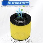 Honda TRX250EX Air Filter for ATVs