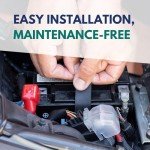 YTX14-BS Battery - Motorcycle Battery, ATV Battery 12V 12AH, UTV, 4 Wheeler, Snowmobile, Powersports Batteries - Compatible with Honda Rancher 350, Buell Blast, Yamaha - Sealed Lead Acid 12 Volt AGM