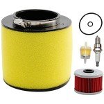 Honda Foreman Rancher Air Oil Filter Kit