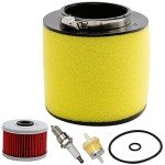 Honda Foreman Rancher Air Oil Filter Kit