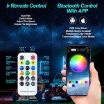 LED Whip Lights with Remote - 2PCS 3FT Set