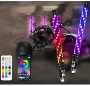 LED Whip Lights with App & Remote Control