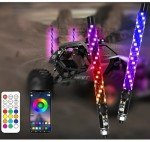 LED Whip Lights with App & Remote Control