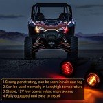 ATV Street Legal Turn Signal Kit with Switch