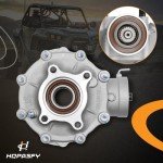 Honda TRX420 Rear Differential Gear Assembly