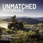 Polaris Phoenix 200 High-Performance Front Brake Pads