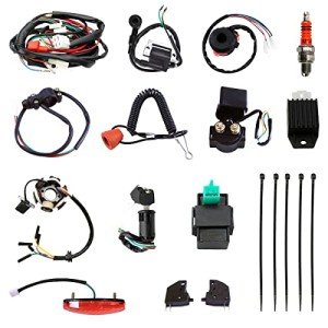 Complete Wiring Harness and Spark Plug Kits for ATVs