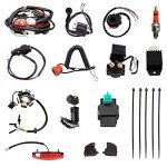Complete Wiring Harness and Spark Plug Kits for ATVs