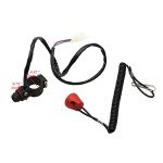 Complete Wiring Harness and Spark Plug Kits for ATVs