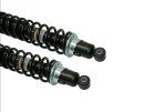 Honda Rubicon 500 Rear Shock Pair 2001-2004