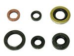 Outlaw Racing Engine Oil Seal Kit for Honda ATV