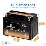 Chrome Battery YTX9-BS Maintenance Free Replacement Battery for ATV, Motorcycle, and Scooter: 12 Volts, 9 Amps, 8Ah, Nut and Bolt (T3) Terminal