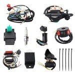Wiring Harness and CDI for 50cc-125cc ATVs