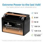 Chrome Battery YTX9-BS Maintenance Free Replacement Battery for ATV, Motorcycle, and Scooter: 12 Volts, 9 Amps, 8Ah, Nut and Bolt (T3) Terminal