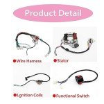 Wiring Harness and CDI for 50cc-125cc ATVs