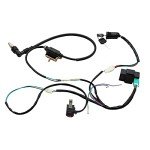 Kick Starter Engine Wiring Harness for Pit Bikes