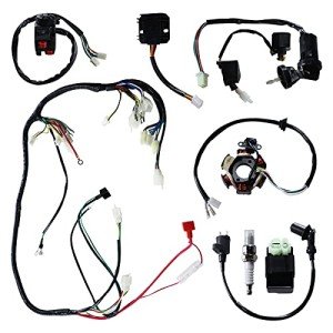 ATV Wiring Harness Kit with CDI & Ignition Parts