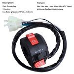 Left Starter Switch with Ignition Key Assembly for ATVs