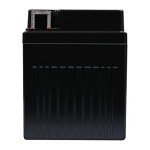 YTX4L-BS, YT4L, YTX4L, YT4L-BS, GTX4L-BS, GT4L-BS, GTX4L, GT4L Replacement 12V3AH WPX4L-BS Sealed AGM for Arctic Cat, Polaris, BRP, Can-Am Motorcycle, Scooter, ATV Batteries ExpertPower