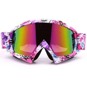 Adult ATV and Motocross Anti-Fog Goggles
