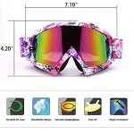 Adult ATV and Motocross Anti-Fog Goggles