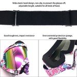 Adult ATV and Motocross Anti-Fog Goggles