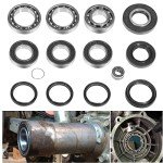 Rear Differential Seal Kit for Honda TRX 250