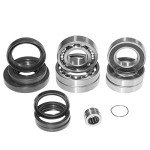 Rear Differential Seal Kit for Honda TRX 250