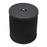 Kawasaki Brute Force 300 Air Filter & Spark Plug