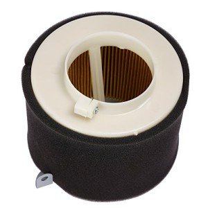 Kawasaki Mule Air Filter Replacement #11029-1004