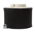 Kawasaki Mule Air Filter Replacement #11029-1004