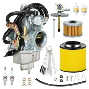 Honda Recon 250 Carburetor Kit with Filters