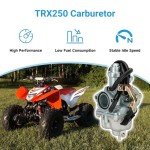 Honda Recon 250 Carburetor Kit with Filters