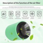 Can-Am Outlander Air Filter Cleaner 2012-2019